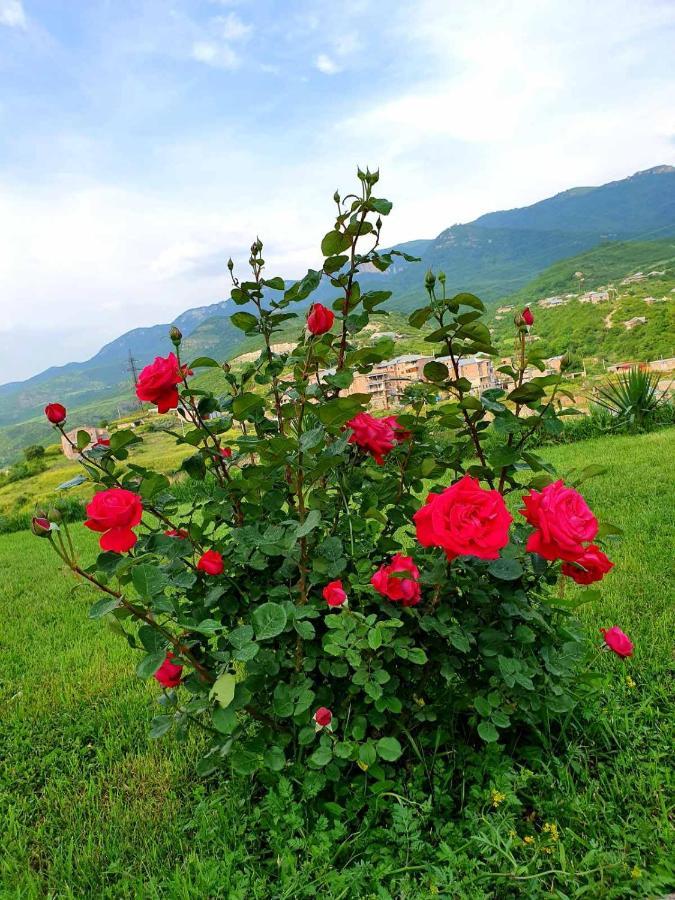 Guest House Ijevan'S Garden Exterior photo
