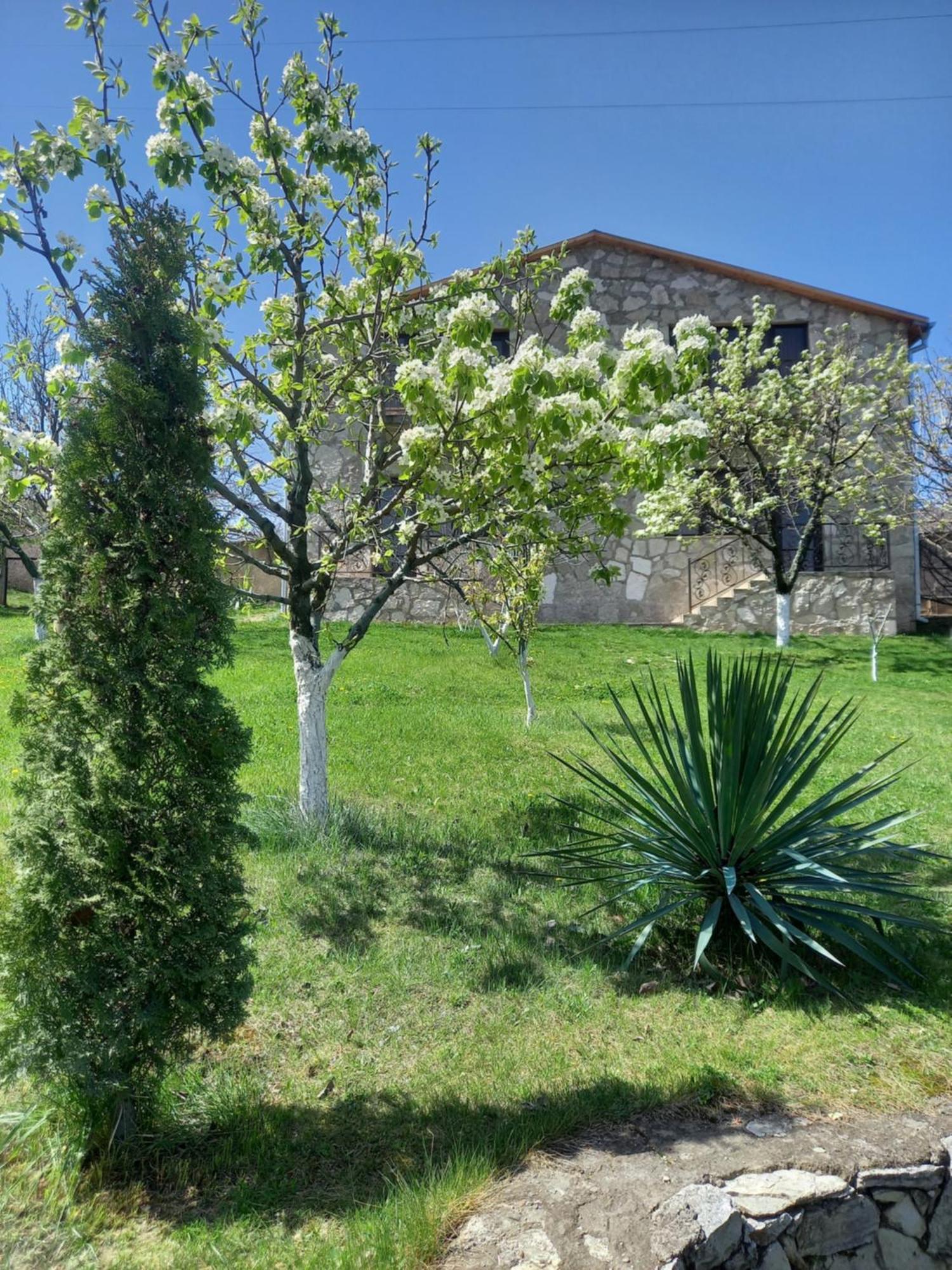 Guest House Ijevan'S Garden Exterior photo