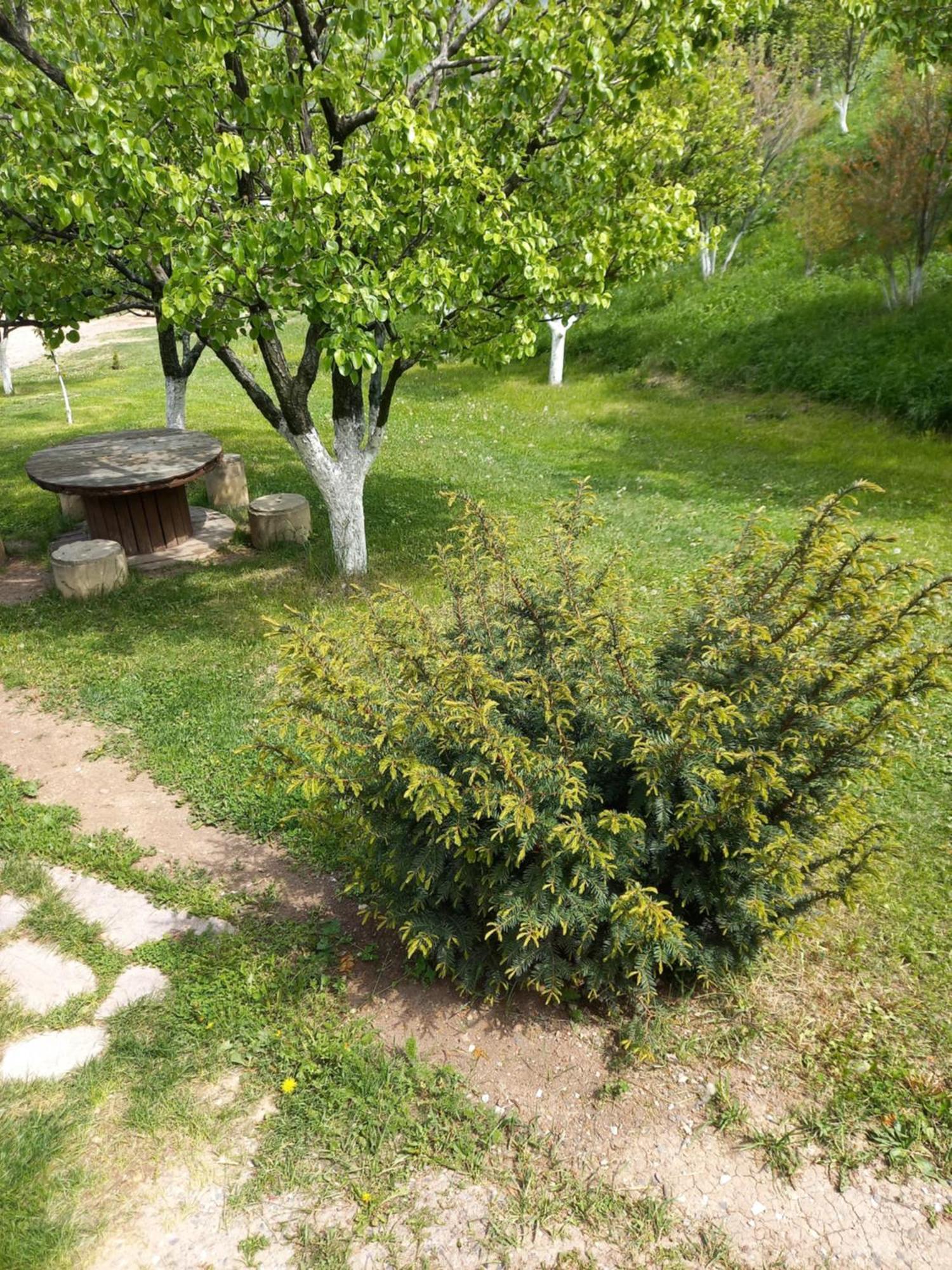 Guest House Ijevan'S Garden Exterior photo