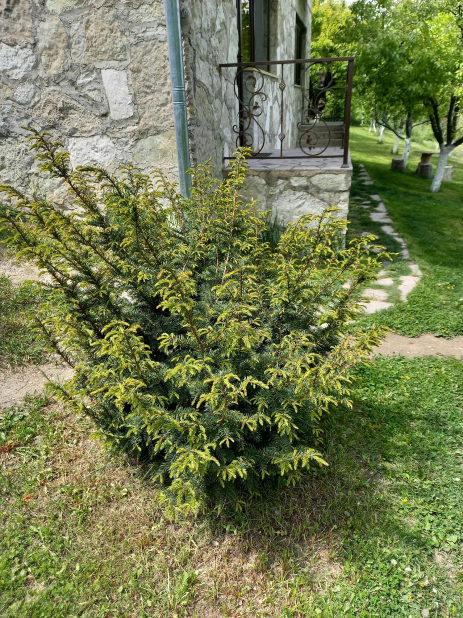 Guest House Ijevan'S Garden Exterior photo