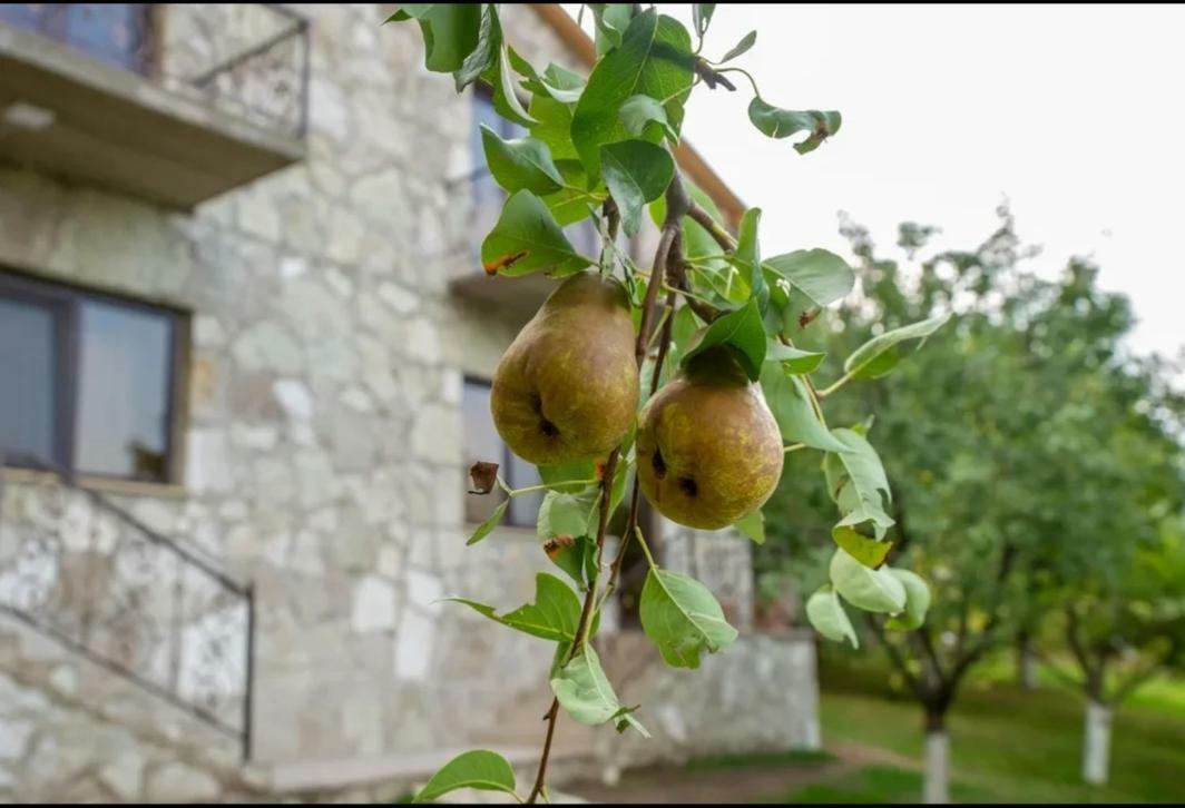 Guest House Ijevan'S Garden Exterior photo